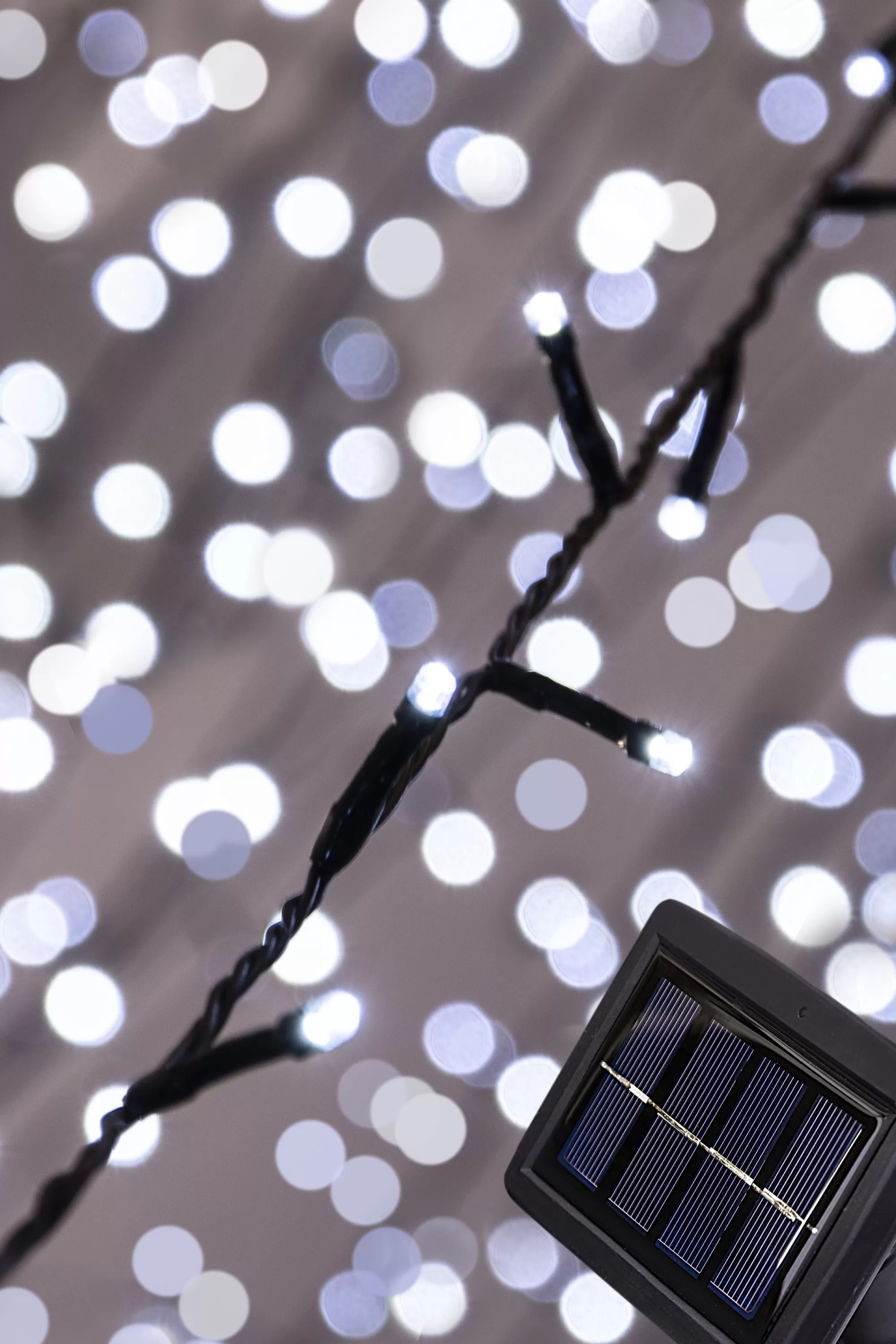 Flash Sale Christmas Tree World 300 Led Solar Powered String Lights (4 Colours)