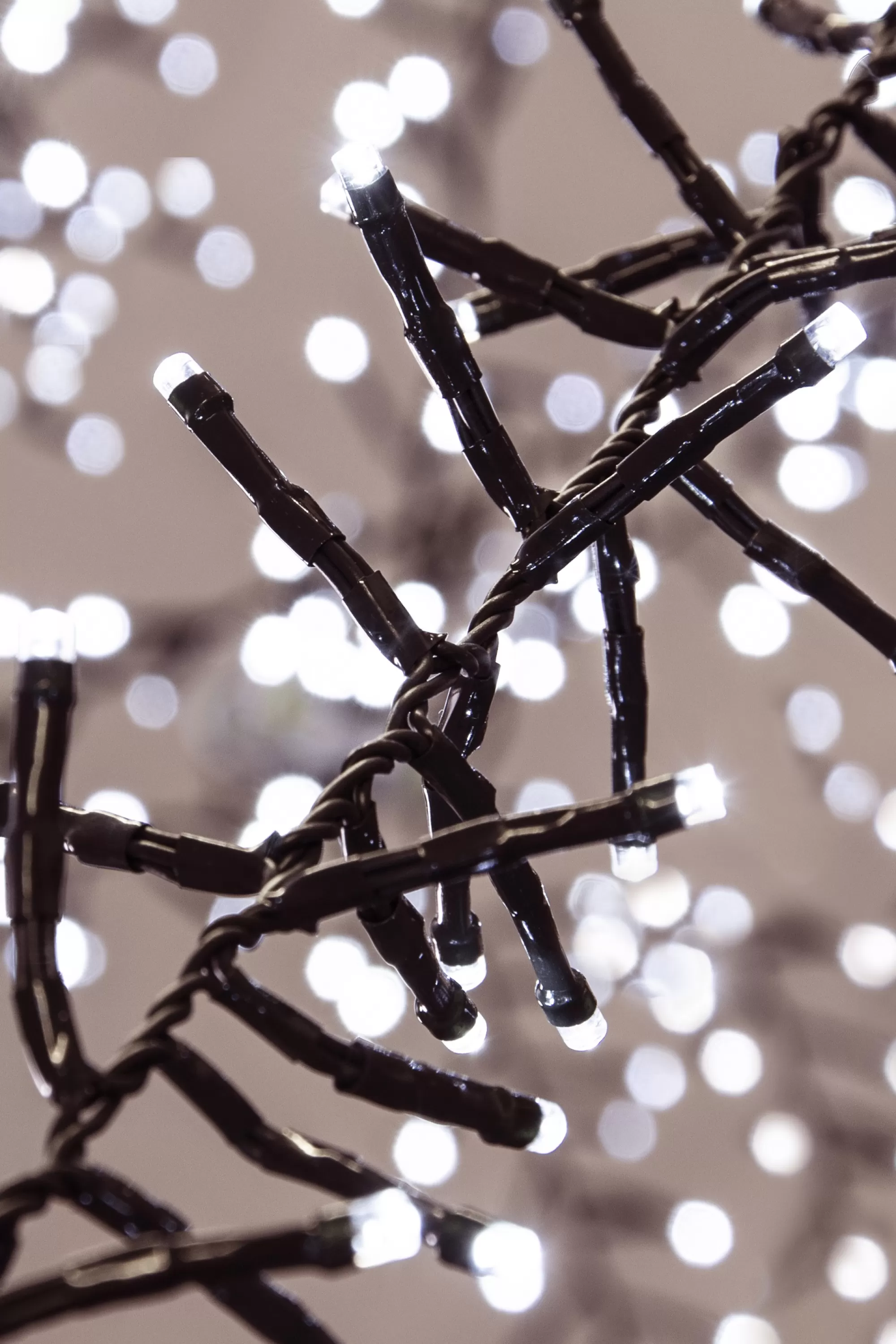 Store Christmas Tree World 720 Multi Function Led Cluster Lights - Bright White