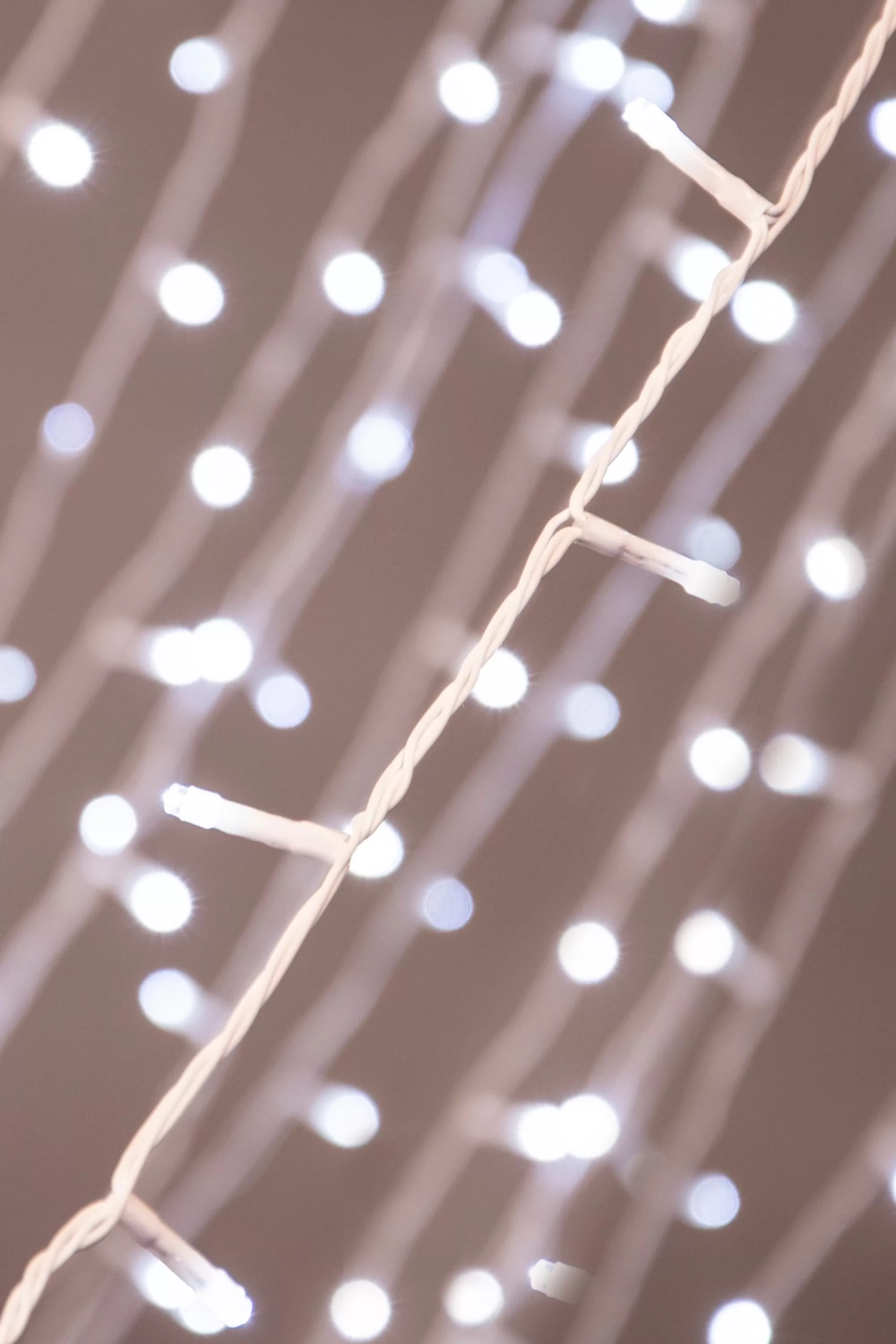 Outlet Christmas Tree World Ctw 600 Multi Function Led Lights With White Cable (3 Colours)