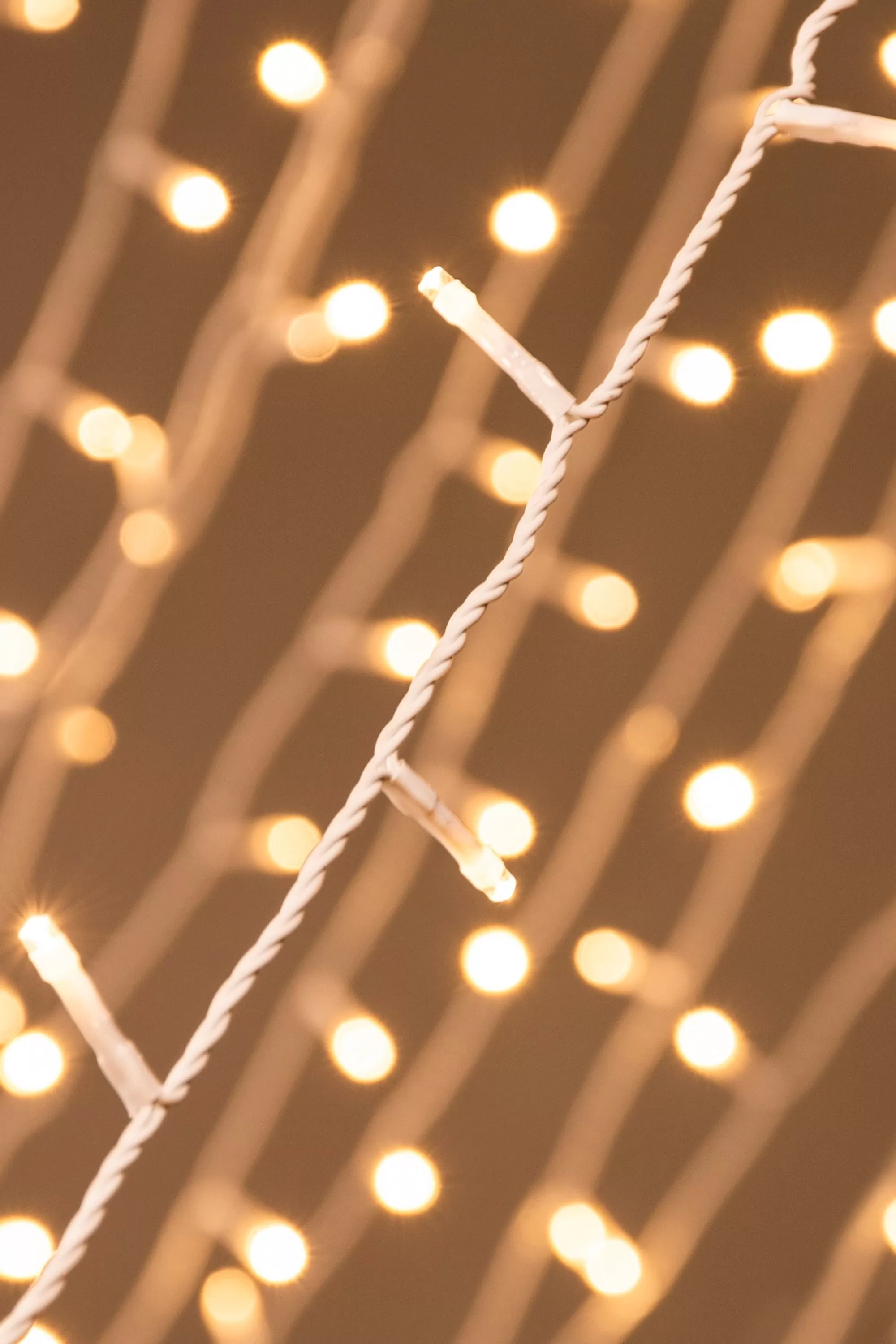 Outlet Christmas Tree World Ctw 600 Multi Function Led Lights With White Cable (3 Colours)