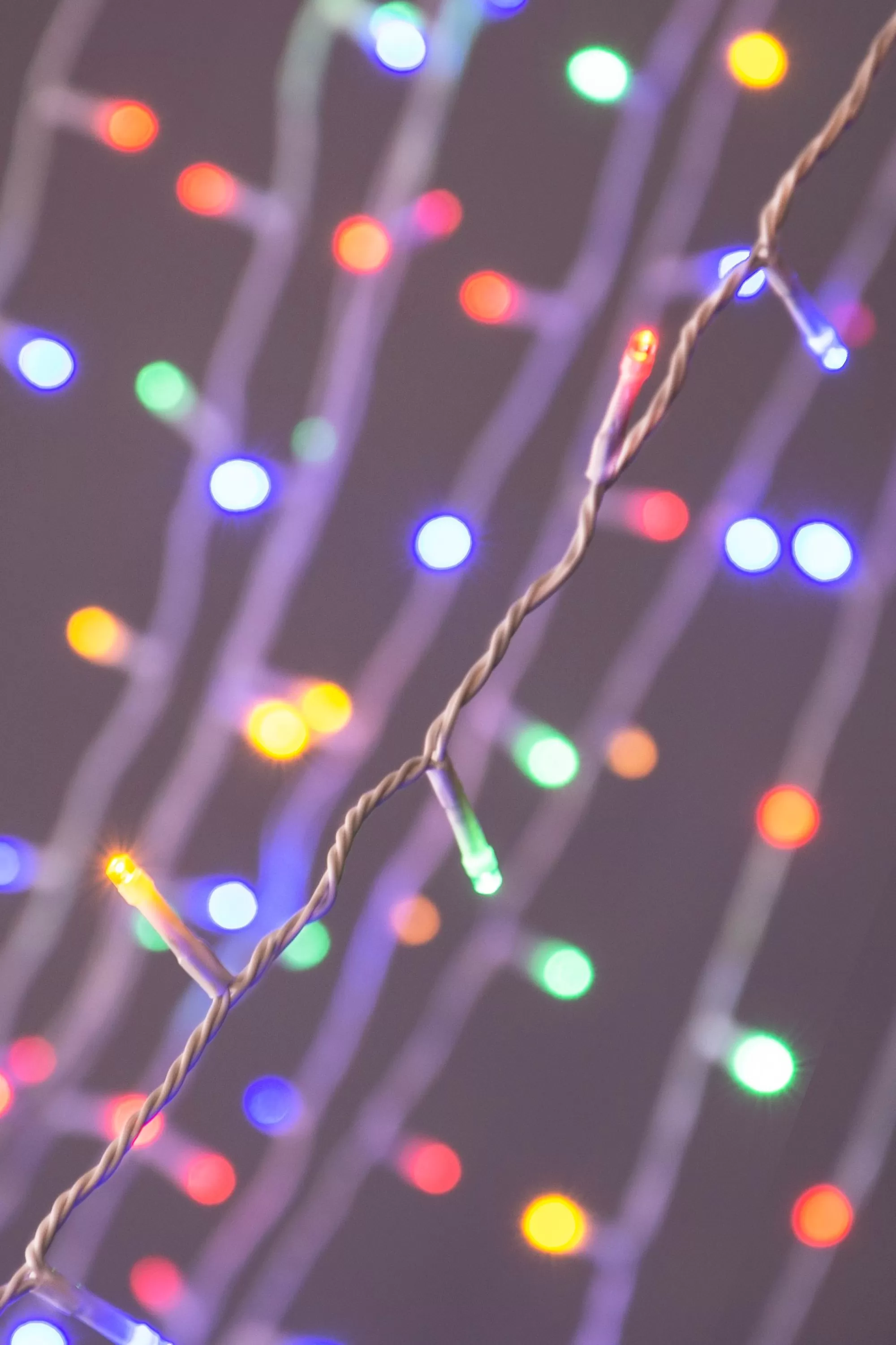 Outlet Christmas Tree World Ctw 600 Multi Function Led Lights With White Cable (3 Colours)