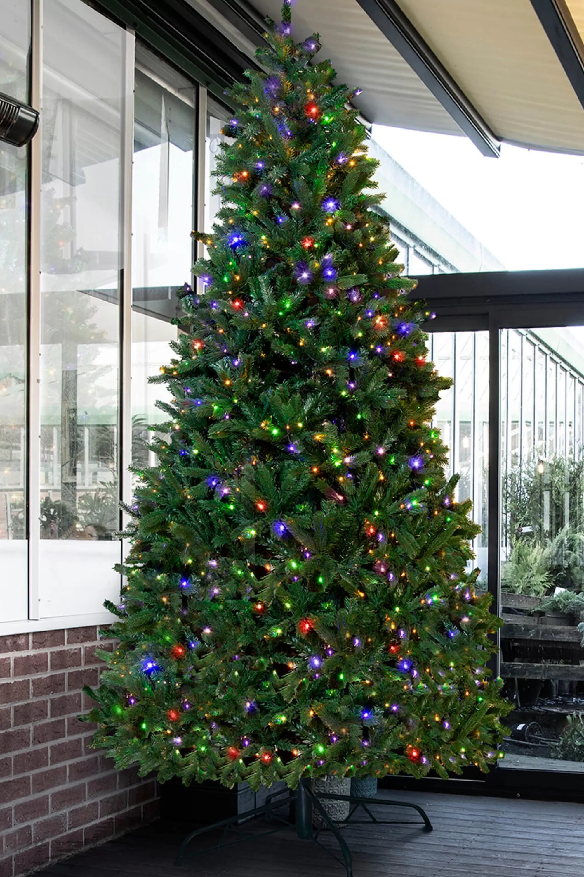 Best Sale Christmas Tree World The 12Ft Pre-Lit Ultra Devonshire Slimline Tree Warm White/Multicoloured Colour Change Leds