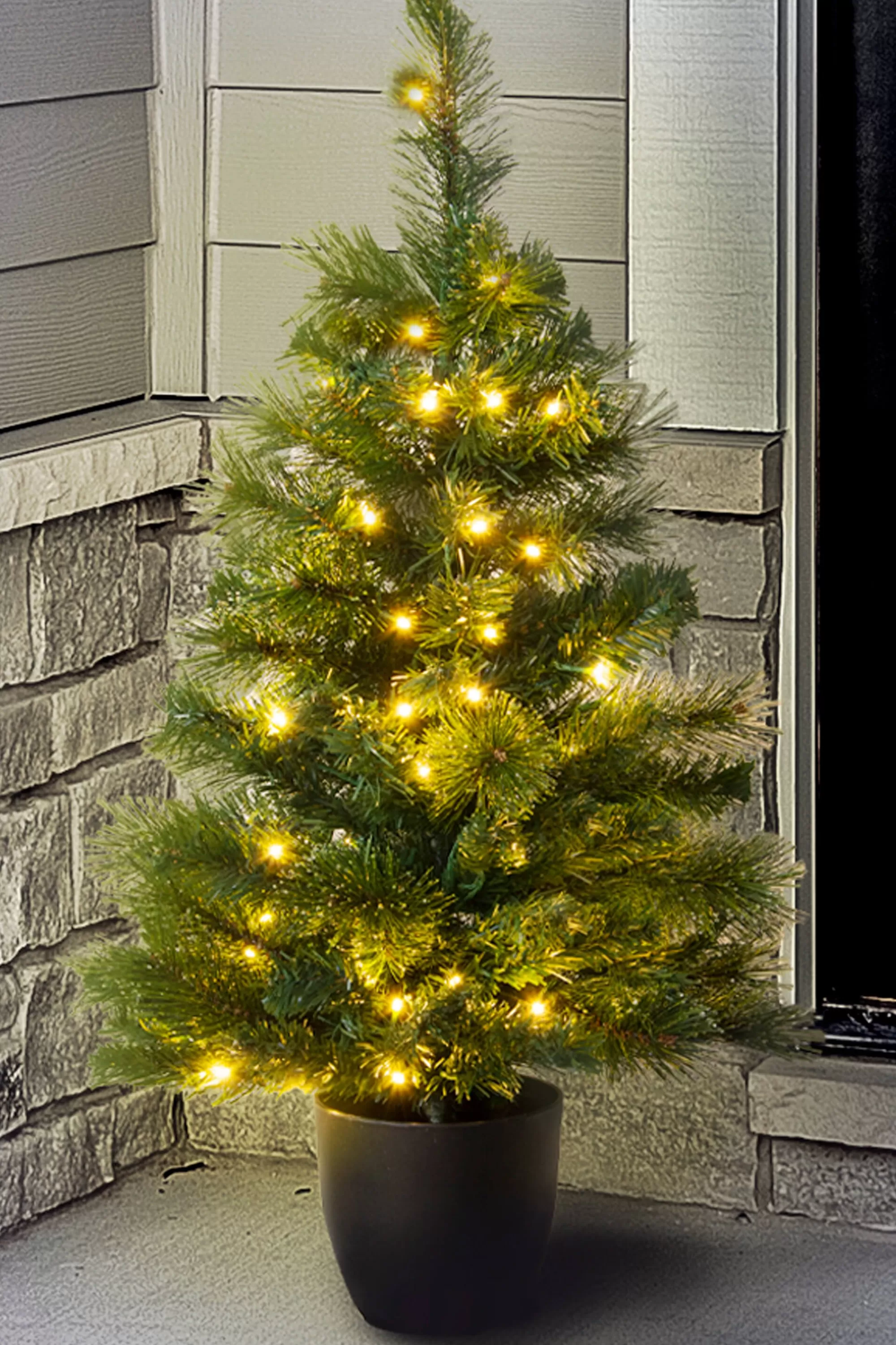 Clearance Christmas Tree World The 3Ft Pre-Lit Majestic Dew Pine Potted Tree (Outdoor)
