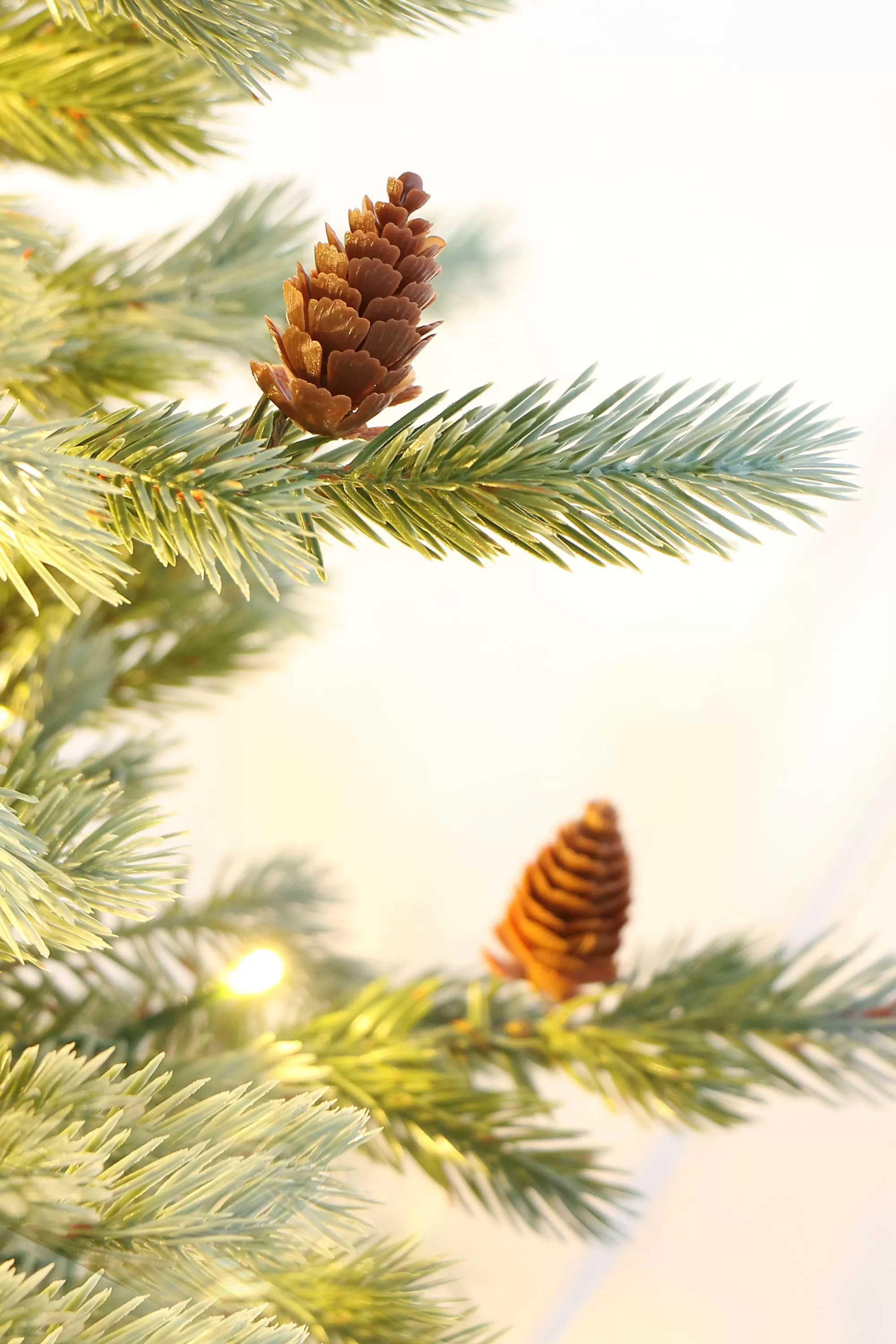 Cheap Christmas Tree World The 4Ft Pre-Lit Cairngorm Pine Potted Tree (Outdoor)