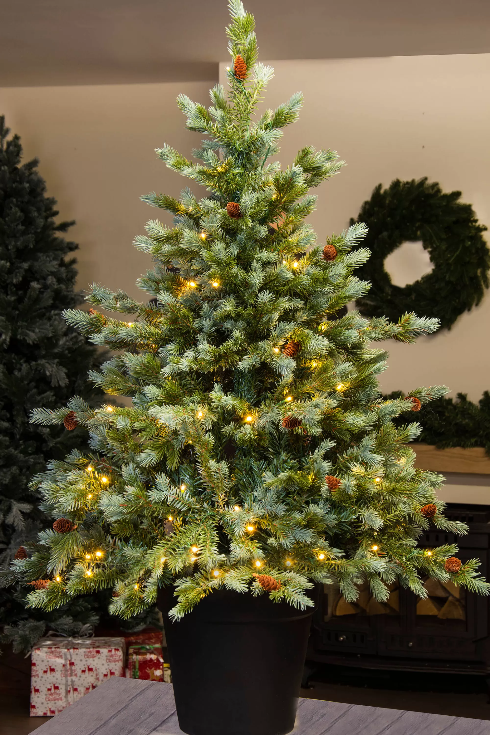 Cheap Christmas Tree World The 4Ft Pre-Lit Cairngorm Pine Potted Tree (Outdoor)