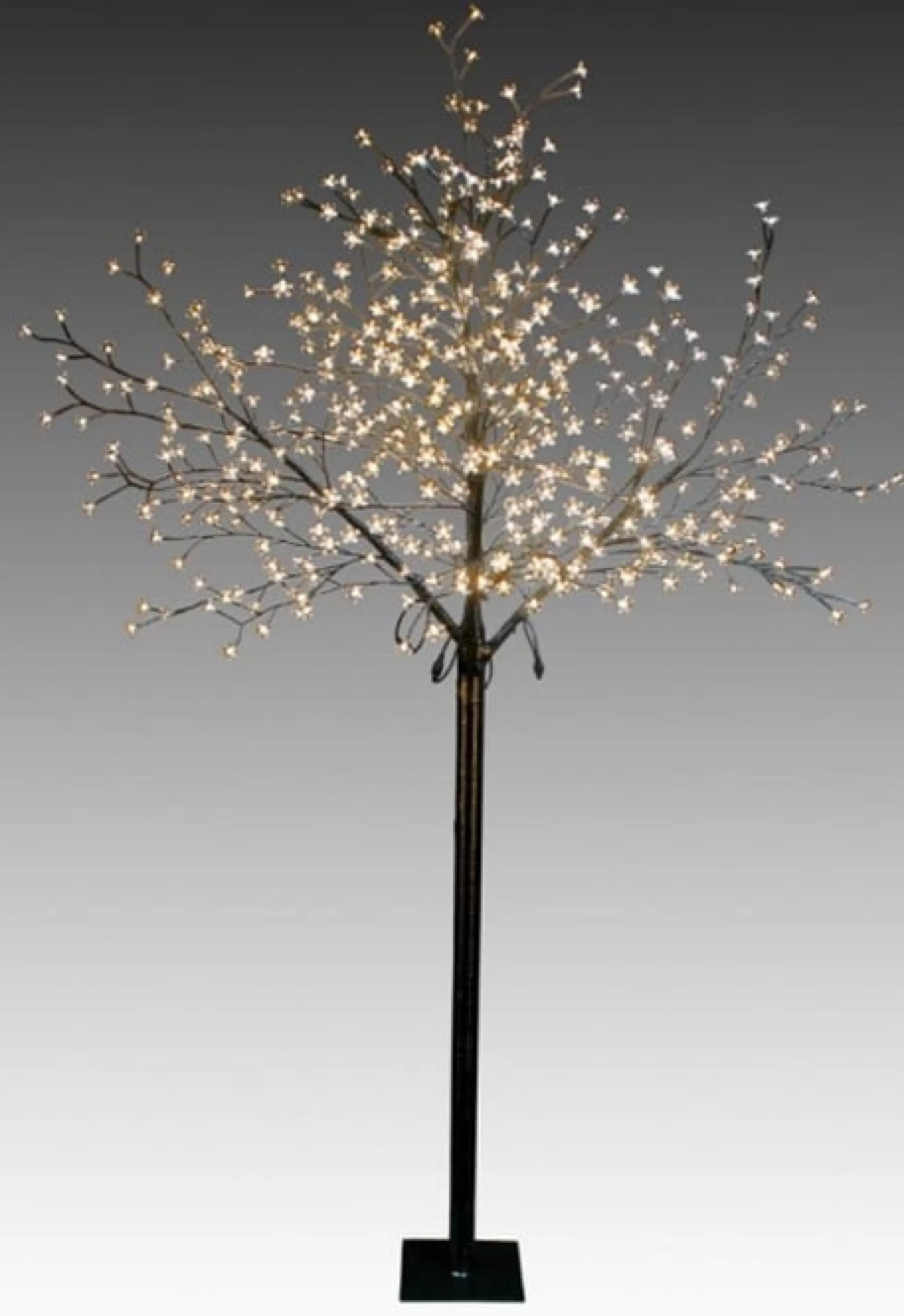 Cheap Christmas Tree World The 7Ft Led Blossom Tree (4 Colours Available)