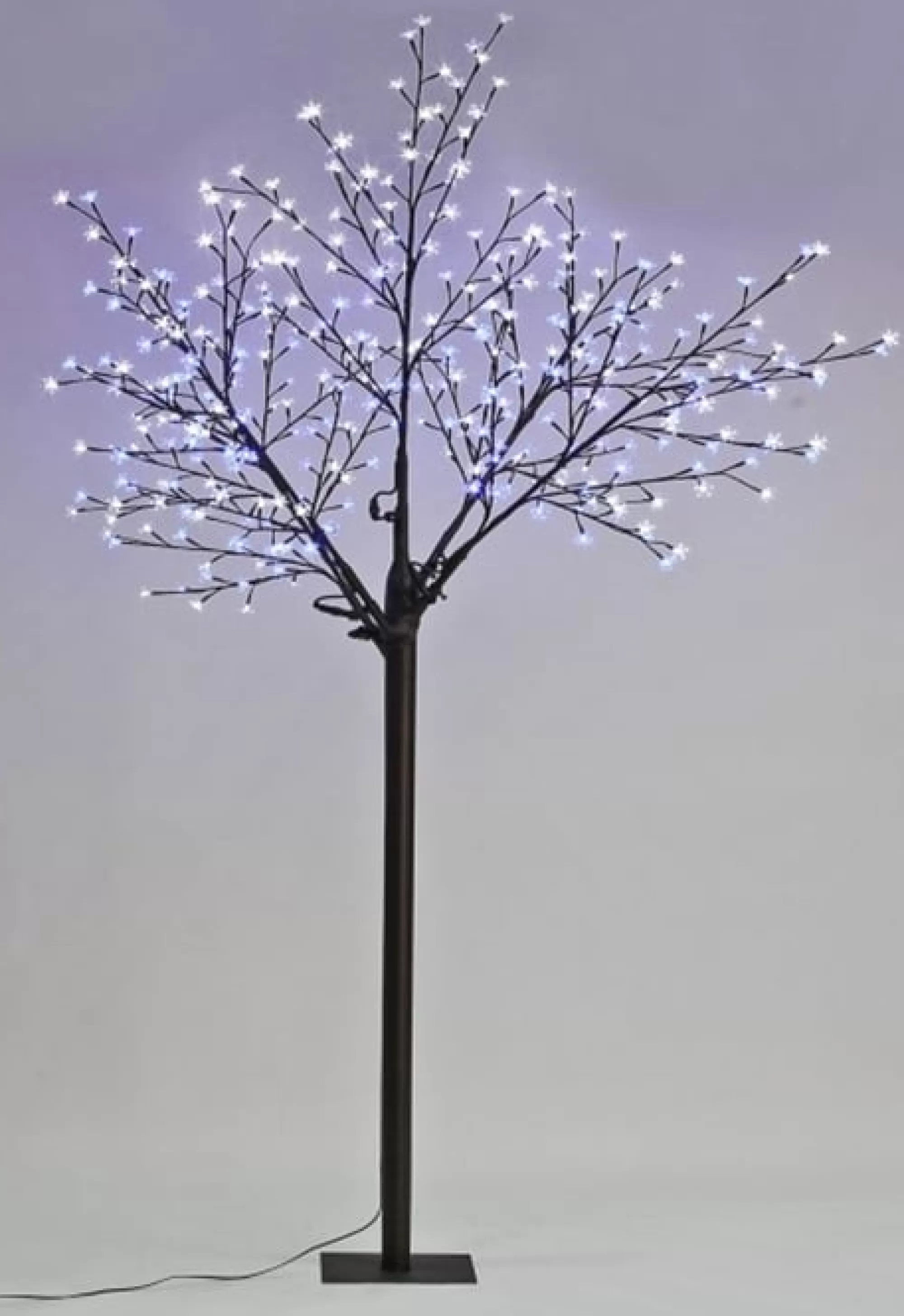 Cheap Christmas Tree World The 7Ft Led Blossom Tree (4 Colours Available)