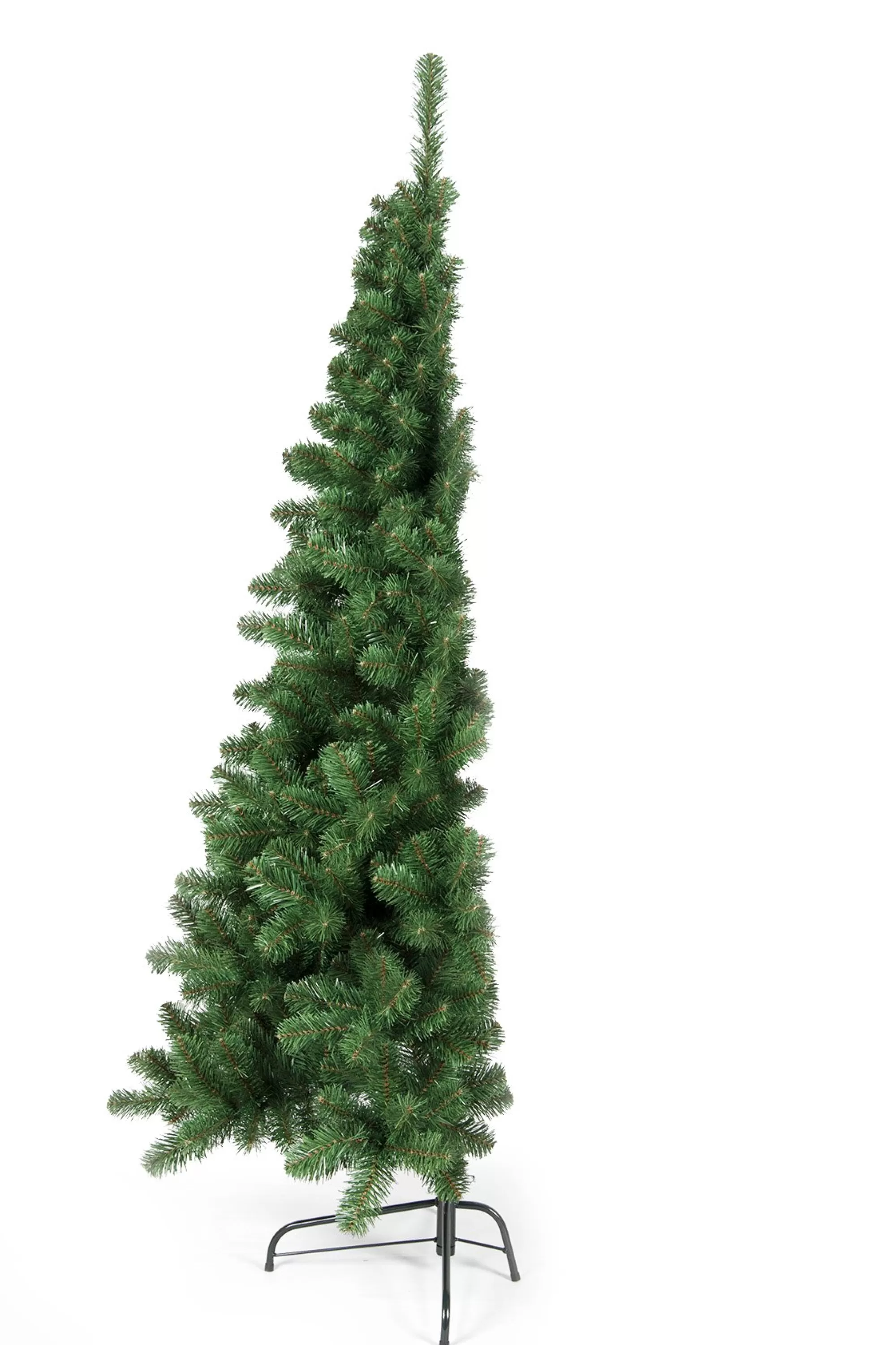 New Christmas Tree World The Arbor Vitae Fir Half Tree (4Ft To 6Ft)