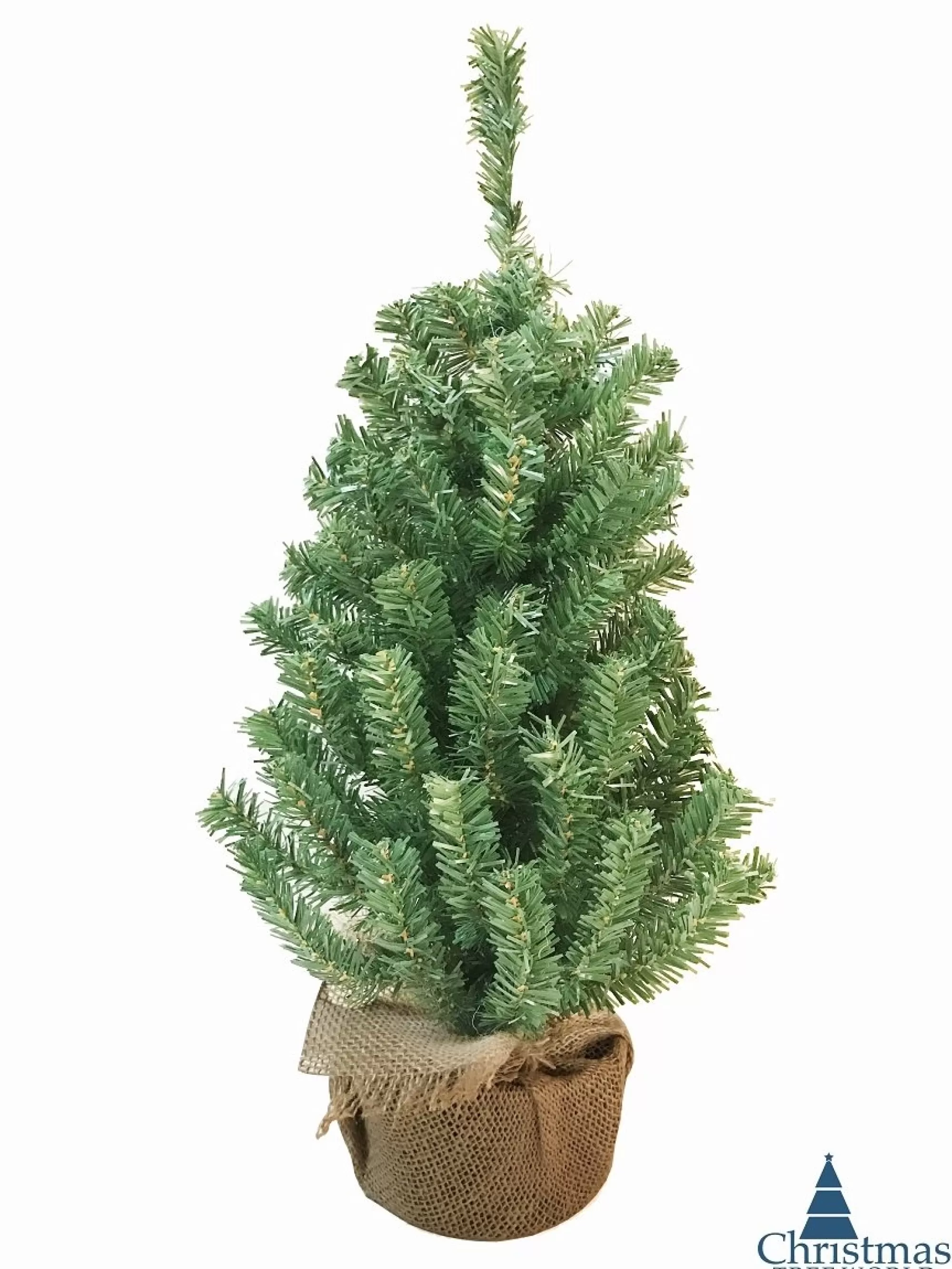 Flash Sale Christmas Tree World The Potted Mountain Pine Tree (60Cm To 90Cm)