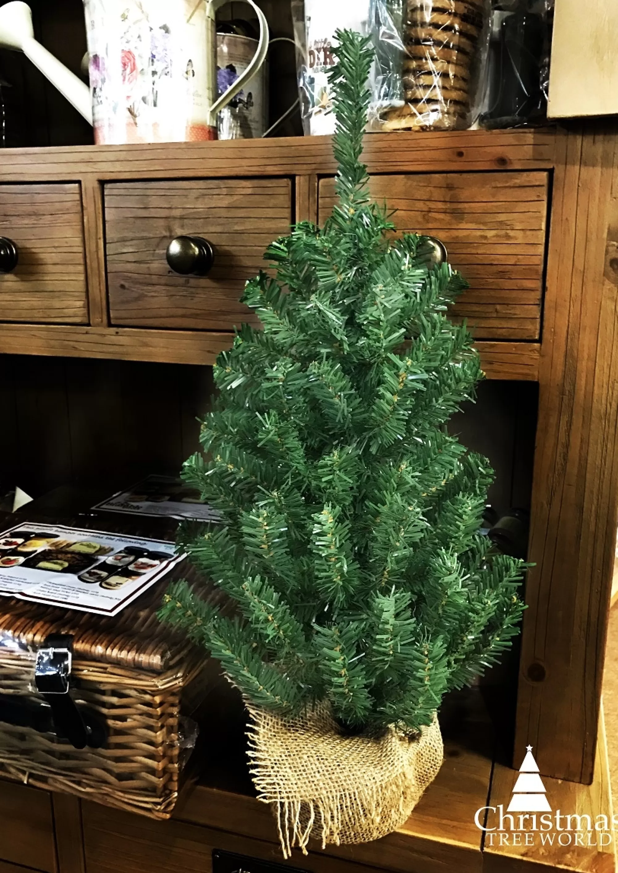 Flash Sale Christmas Tree World The Potted Mountain Pine Tree (60Cm To 90Cm)