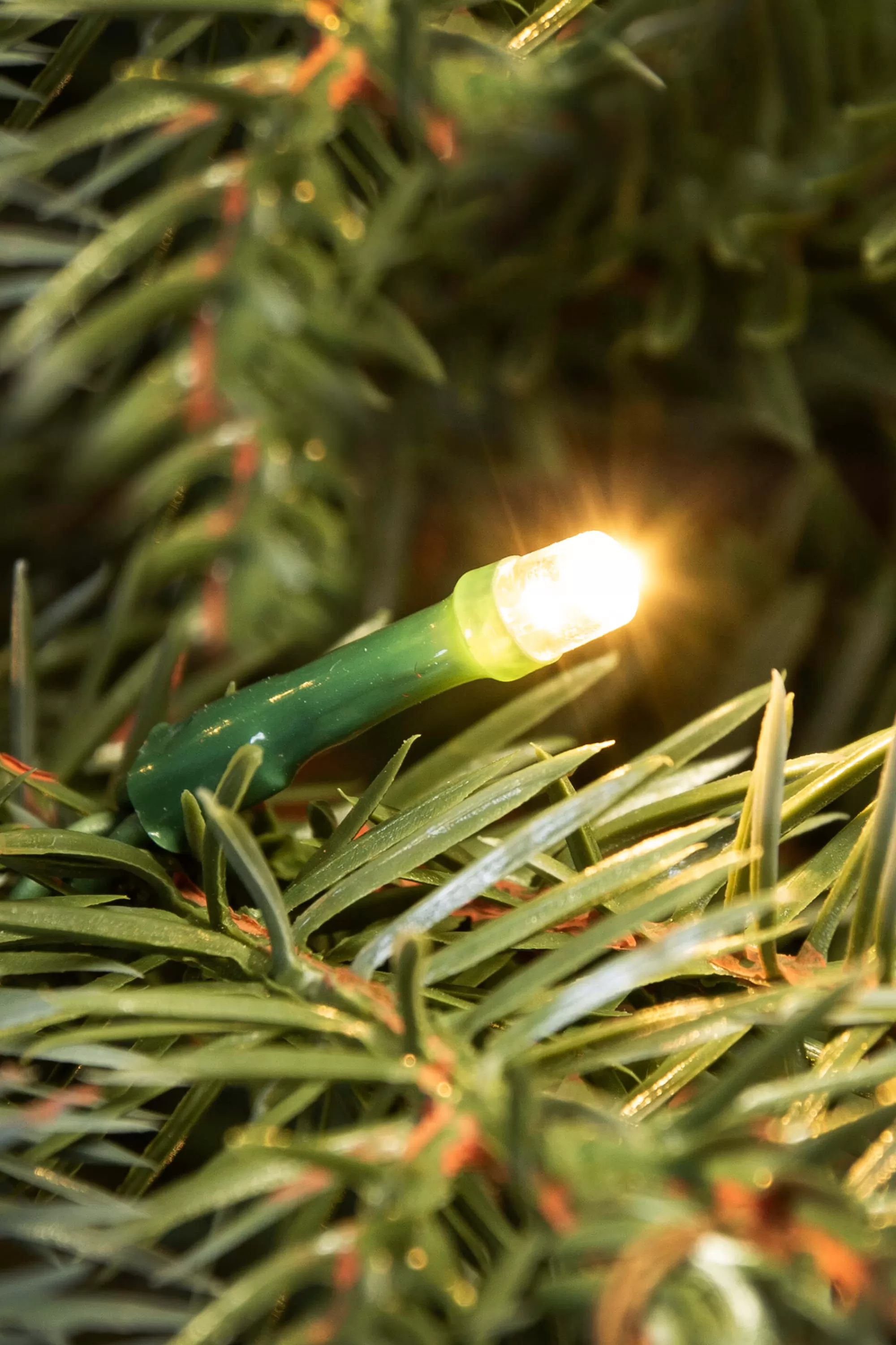 Hot Christmas Tree World The Pre-Lit Cairngorm Pine Potted Tree (3Ft To 4Ft)