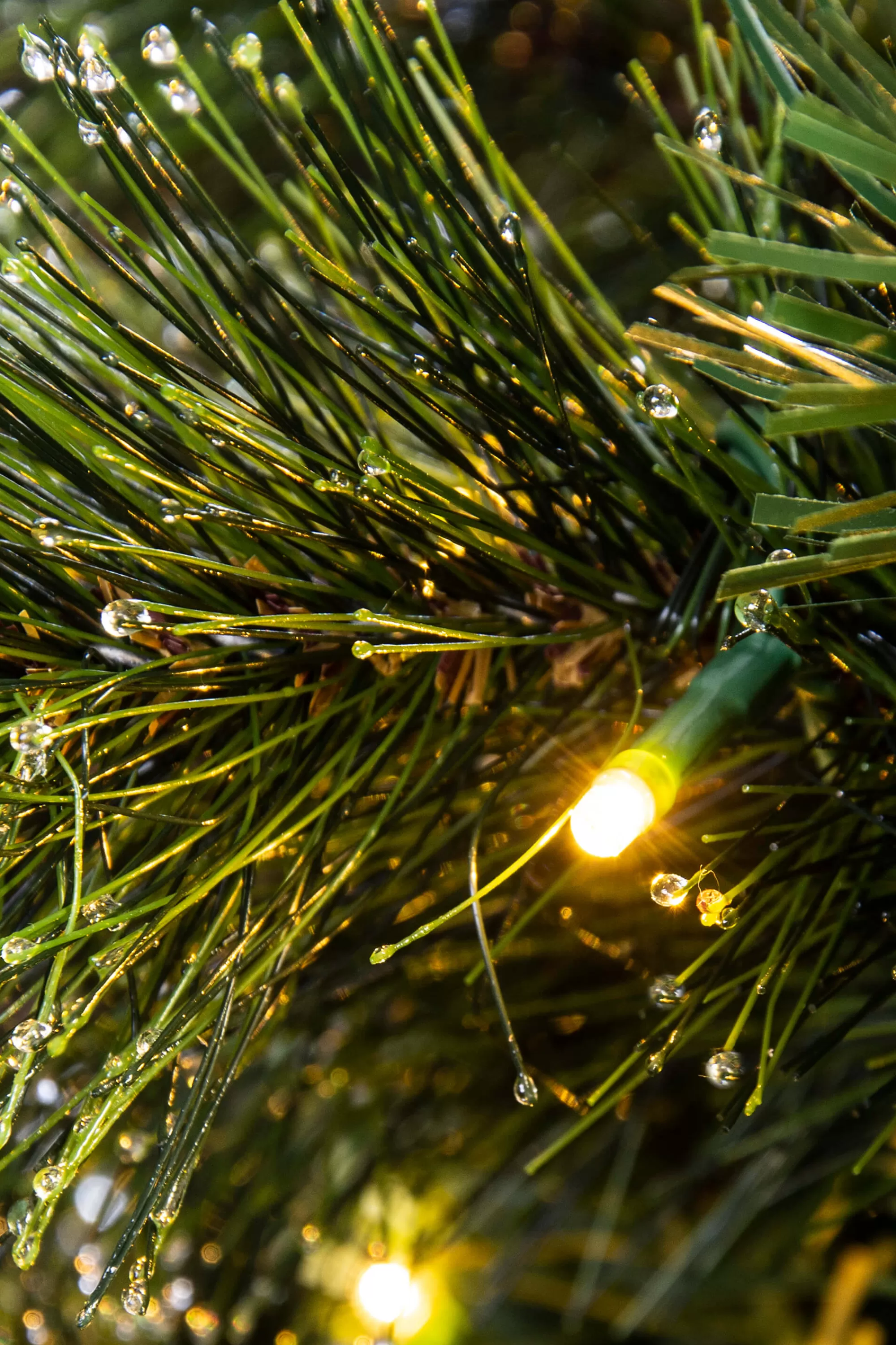 New Christmas Tree World The Pre-Lit Majestic Dew Pine Potted Tree (3Ft To 4Ft)