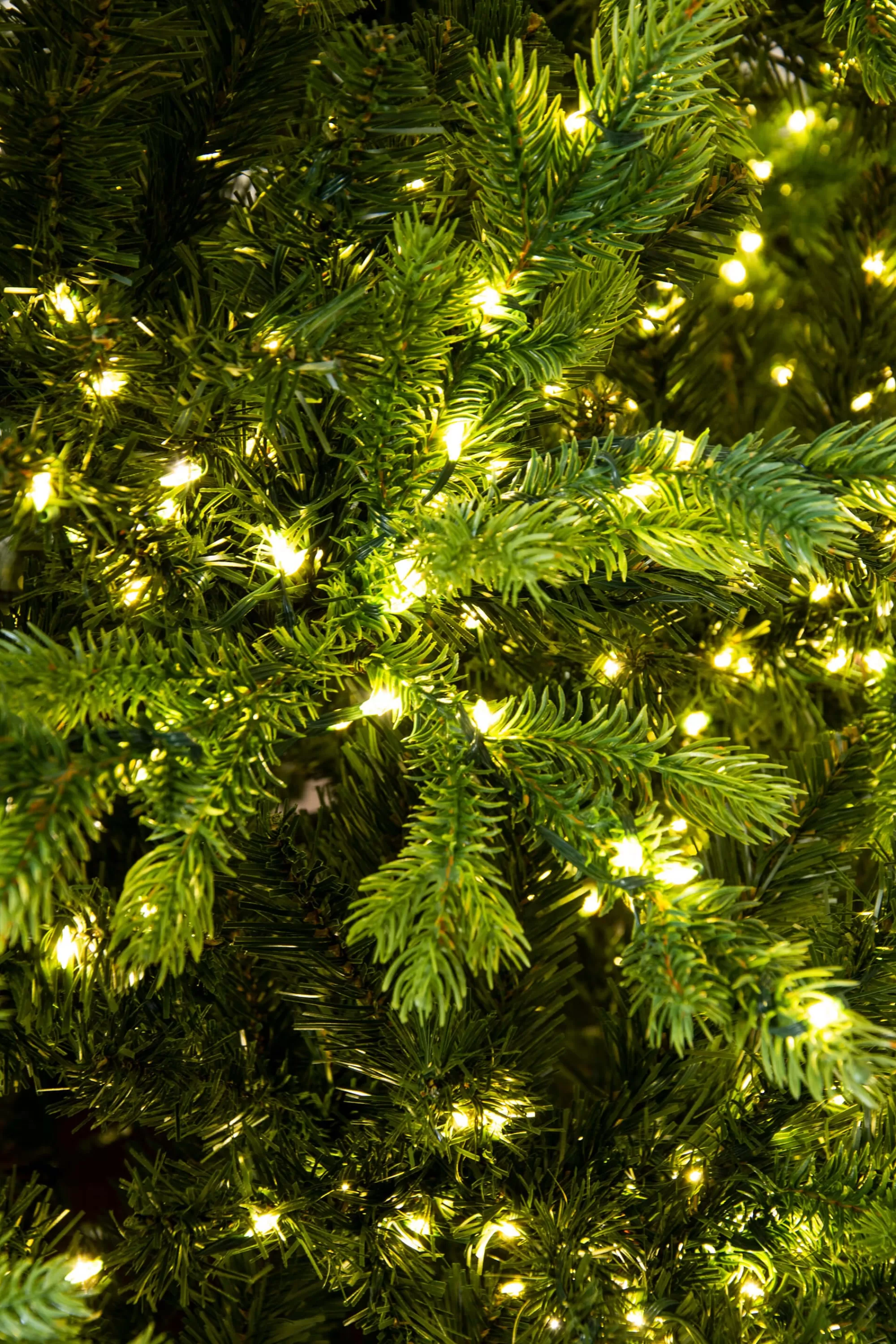 Discount Christmas Tree World The Ultra-Lit Montagna Fir Tree (6Ft To 8Ft)