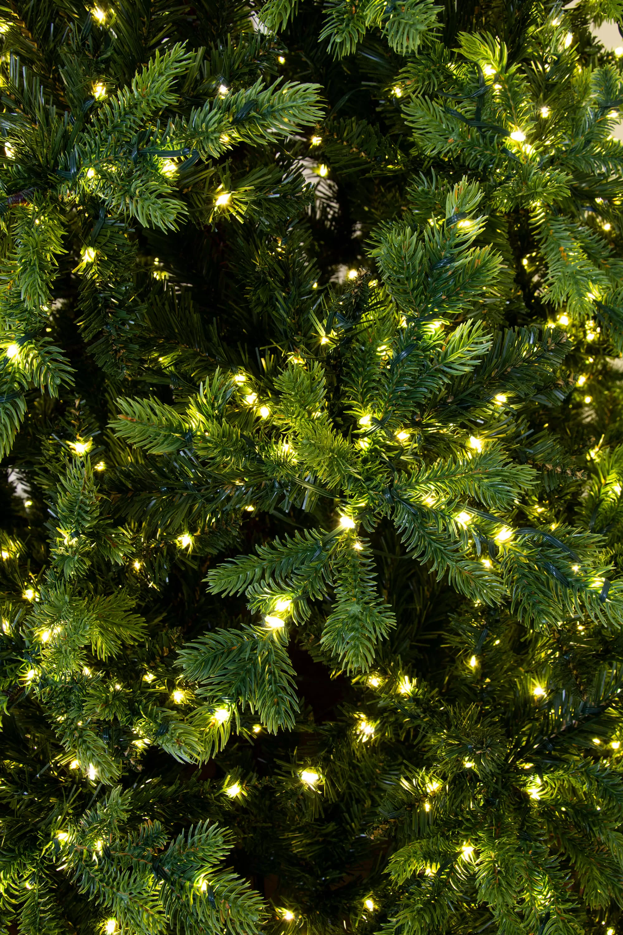Discount Christmas Tree World The Ultra-Lit Montagna Fir Tree (6Ft To 8Ft)