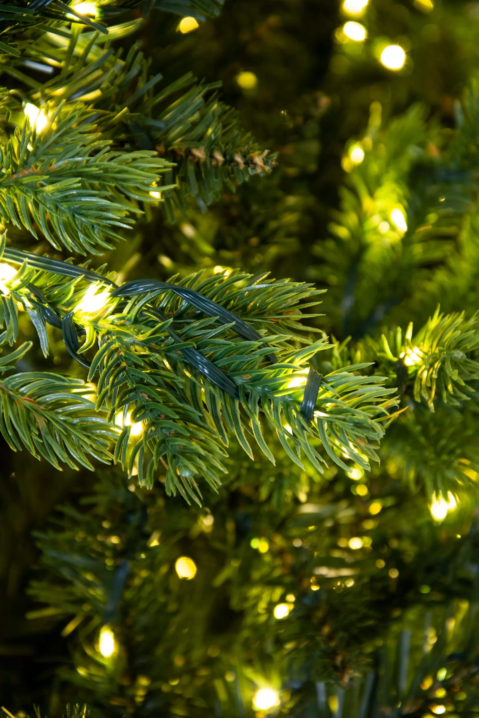 Discount Christmas Tree World The Ultra-Lit Montagna Fir Tree (6Ft To 8Ft)