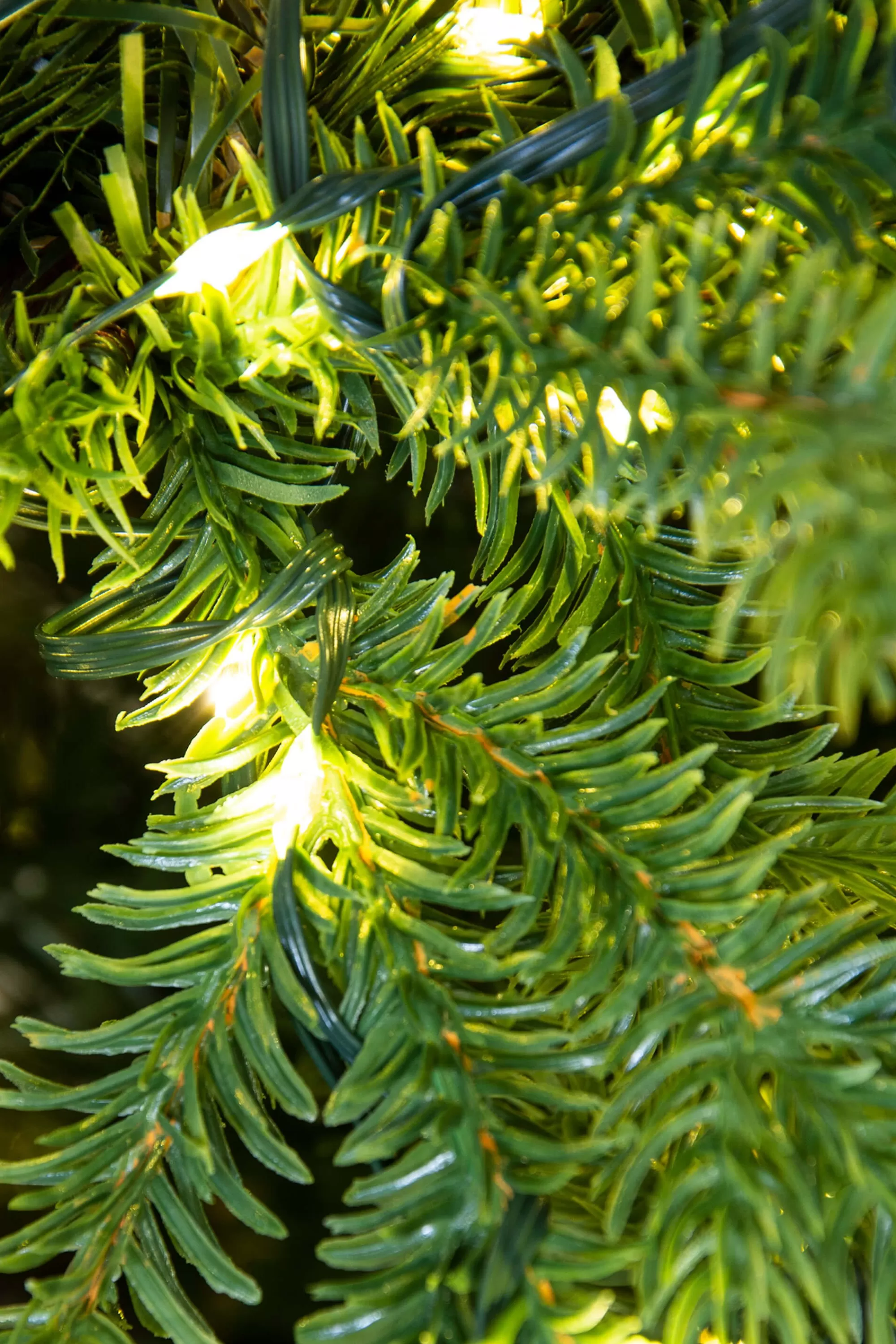 Discount Christmas Tree World The Ultra-Lit Montagna Fir Tree (6Ft To 8Ft)