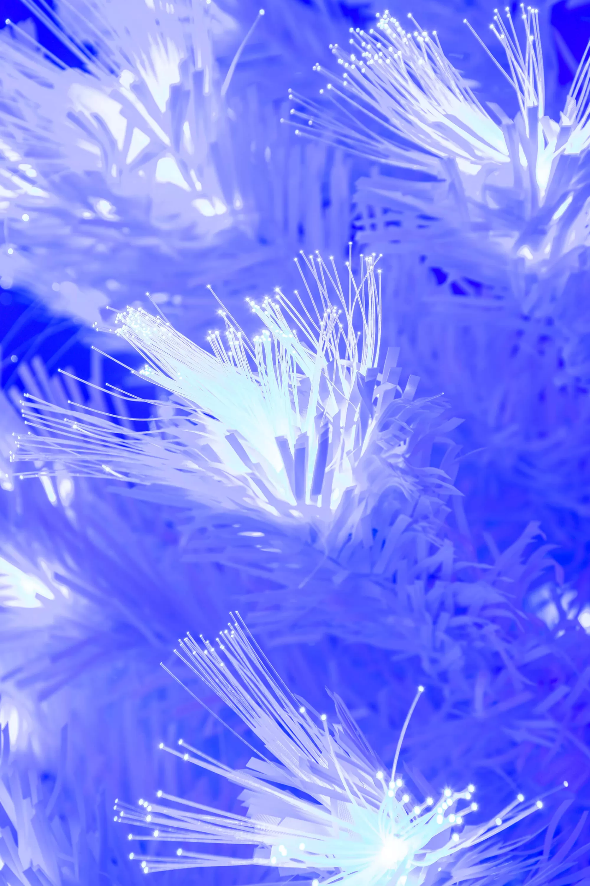 Store Christmas Tree World The White Blue Ripple Effect Fibre Optic Tree (4Ft To 7Ft)
